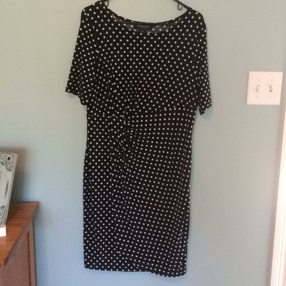 Women’s size large dress NWOT